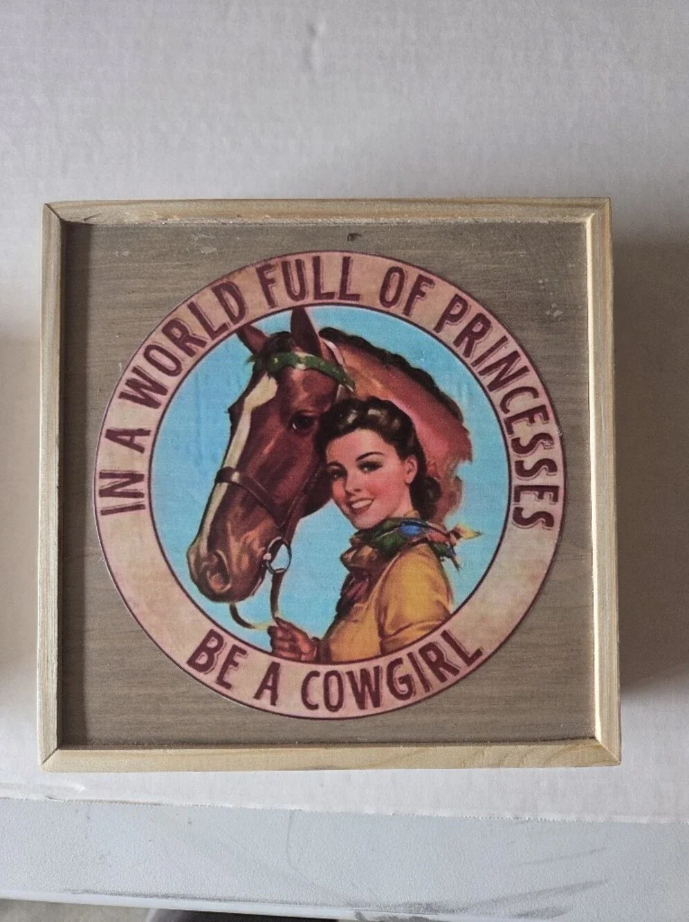 Be A Cowgirl Decorative Wall Plaque - Blue and Brown